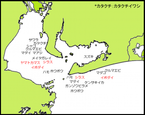 8月中・下旬の漁模様