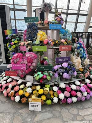 花のディスプレイ