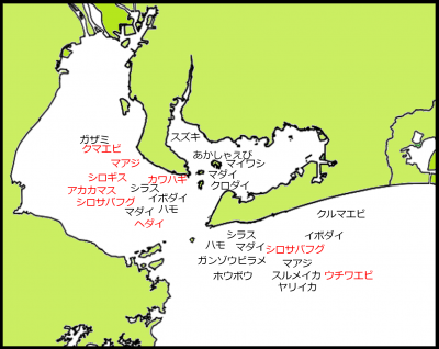 10月中下旬の漁模様