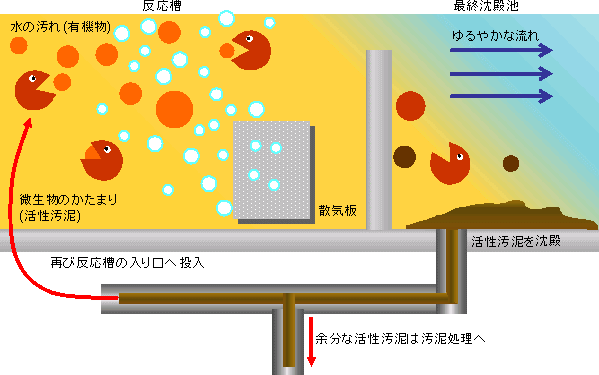 活性汚泥法の原理