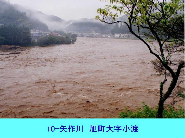 矢作川 豊田市小渡町