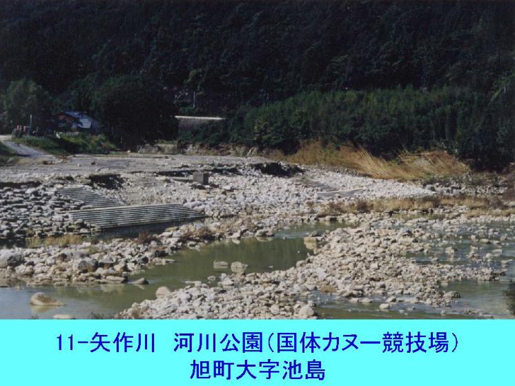 矢作川　　河川公園　豊田市池島町