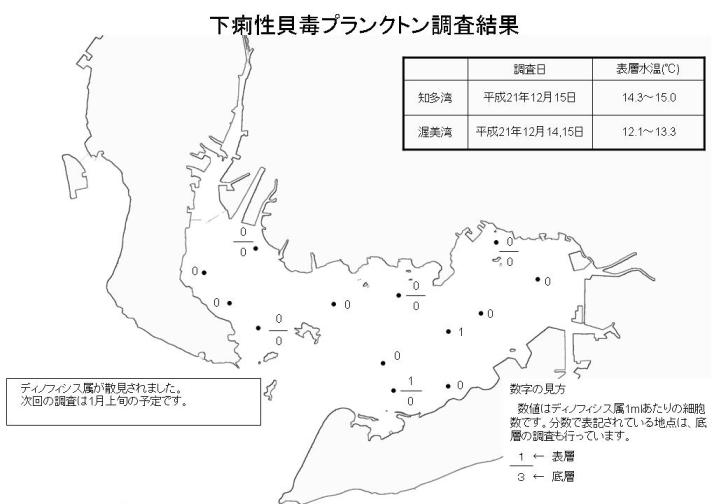 下痢性貝毒プランクトン調査結果（平成21年12月15日）