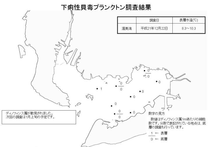 下痢性貝毒プランクトン調査結果（平成21年12月22日）