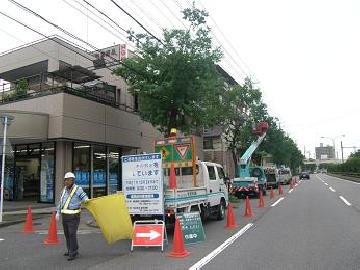 高木剪定の様子