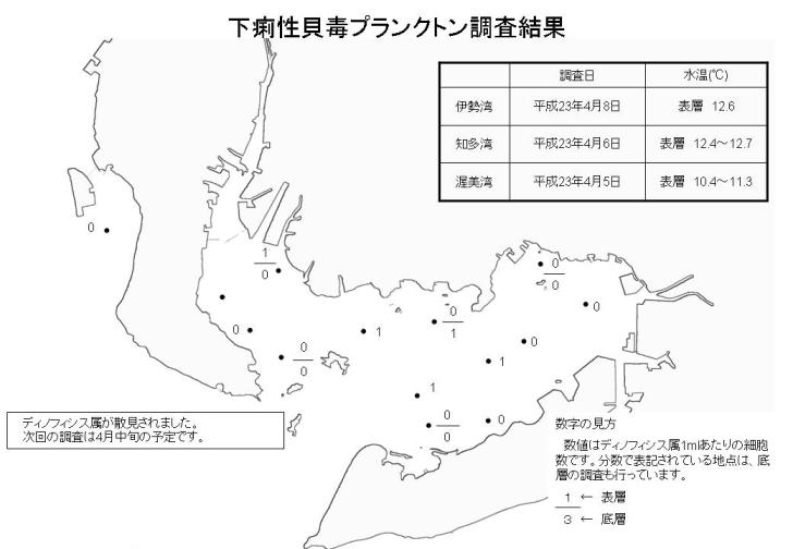 下痢性貝毒プランクトン調査結果（平成23年4月8日）