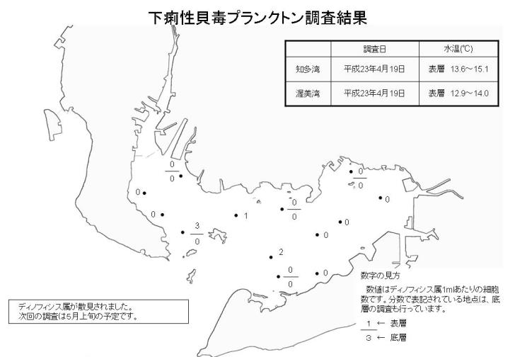 下痢性貝毒プランクトン調査結果（平成23年4月19日）