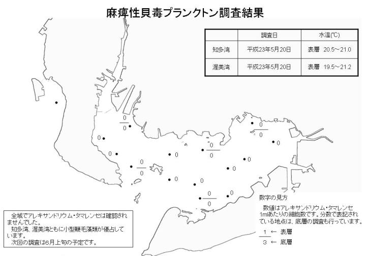 麻痺性貝毒プランクトン調査結果（平成23年5月20日）