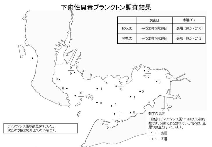 下痢性貝毒プランクトン調査結果（平成23年5月20日）