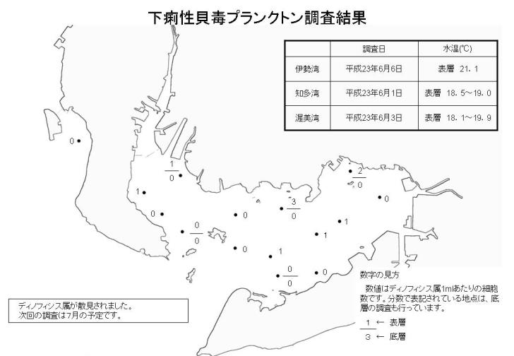 下痢性貝毒プランクトン調査結果（平成23年6月6日）