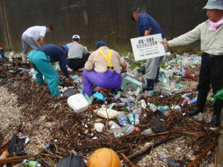 干潟の清掃　画像