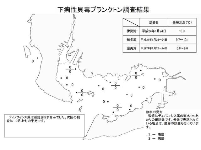 下痢性貝毒原因プランクトン調査結果（平成24年1月2日） 