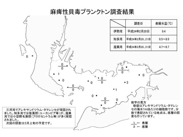 麻痺性貝毒原因プランクトン調査結果（平成24年2月22日） 