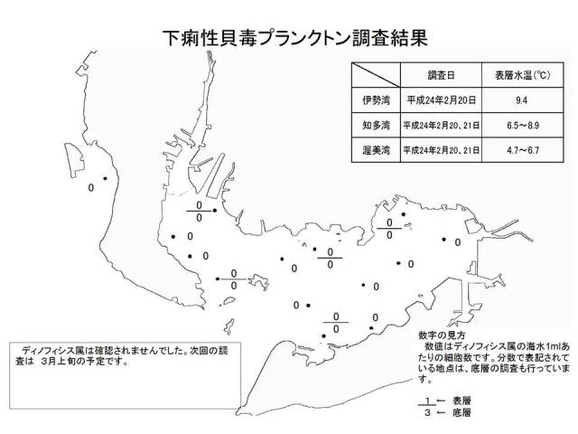 下痢性貝毒原因プランクトン調査結果（平成24年2月22日） 