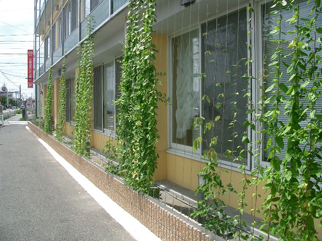壁面緑化(刈谷市)