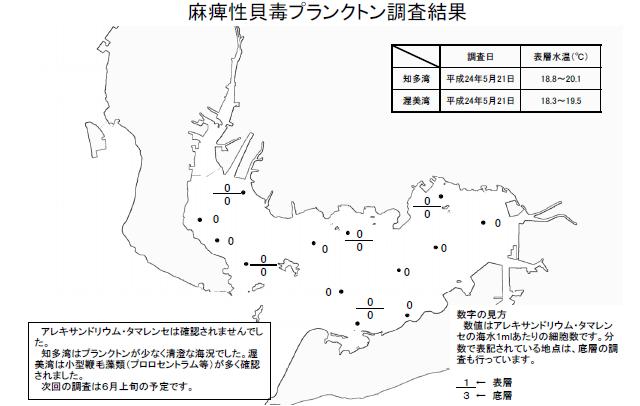 麻痺性貝毒原因プランクトン調査結果（平成24年5月21日） 