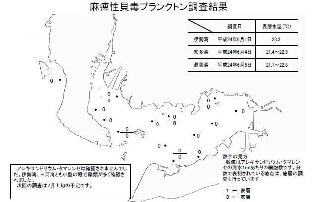 麻痺性貝毒原因プランクトン調査結果（平成24年6月5日） 