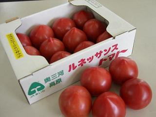 tomato