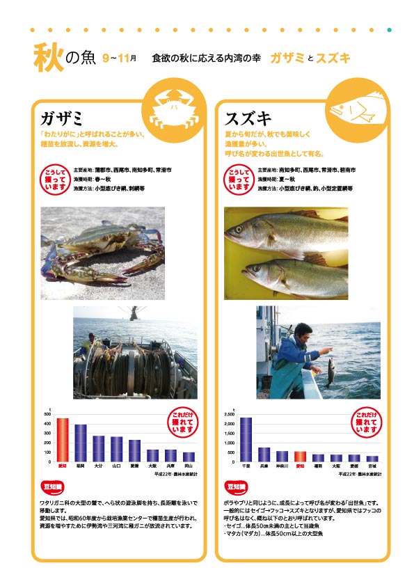 秋の魚　ガザミとスズキ