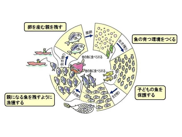 資源管理の概念図