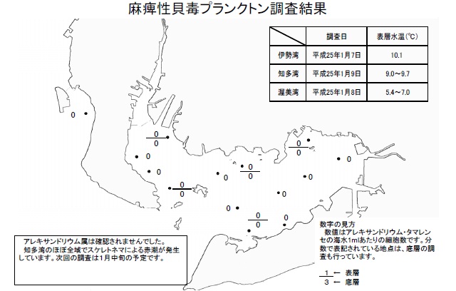 麻痺性貝毒原因プランクトン調査結果（平成25年1月9日） 