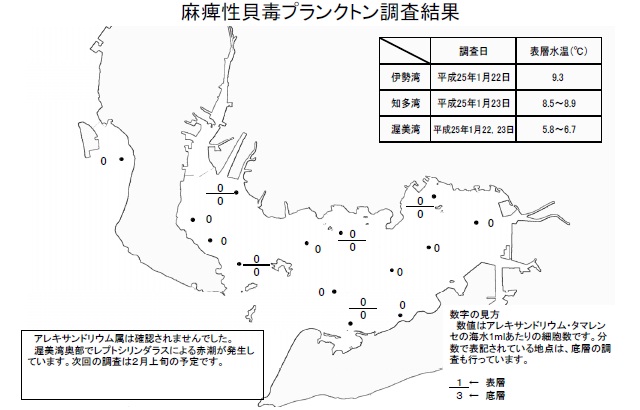 麻痺性貝毒原因プランクトン調査結果（平成25年1月22日） 