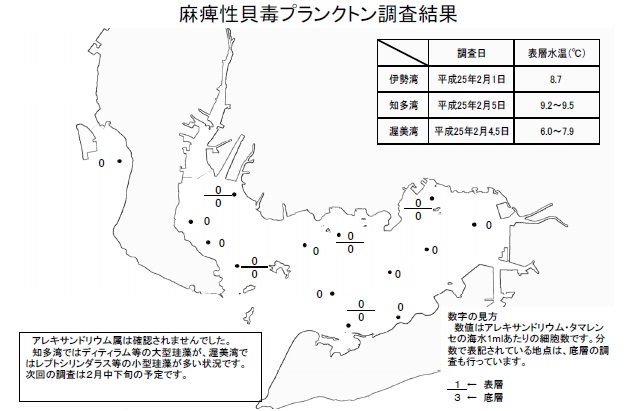 麻痺性貝毒原因プランクトン調査結果（平成25年2月1日） 