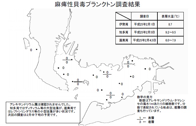 麻痺性貝毒原因プランクトン調査結果（平成25年2月1日） 