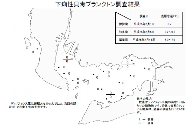 下痢性貝毒原因プランクトン調査結果（平成25年2月1日） 