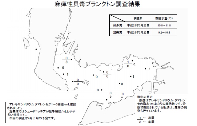 麻痺性貝毒原因プランクトン調査結果（平成25年3月22日）