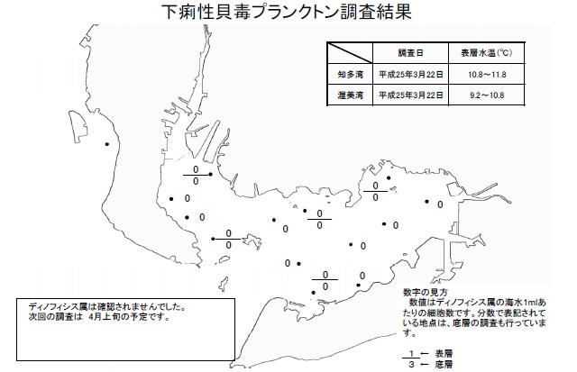 下痢性貝毒原因プランクトン調査結果（平成25年3月22日） 