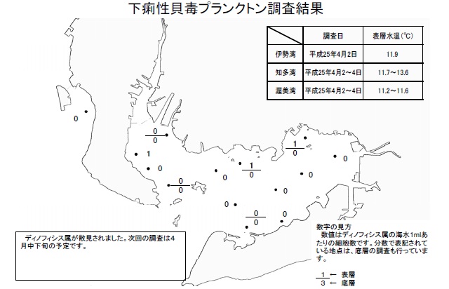 下痢性貝毒原因プランクトン調査結果（平成25年4月2日） 