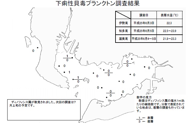 下痢性貝毒原因プランクトン調査結果（平成25年6月5日） 