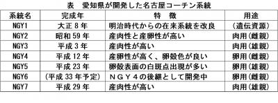 愛知県が開発した名古屋コーチン