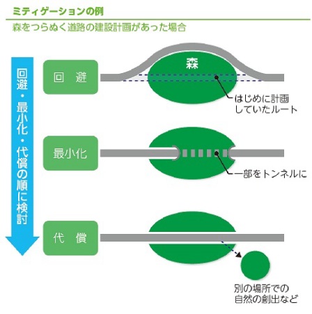 回避最小化代償の例