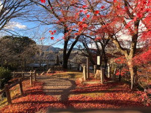 紅葉の長篠城