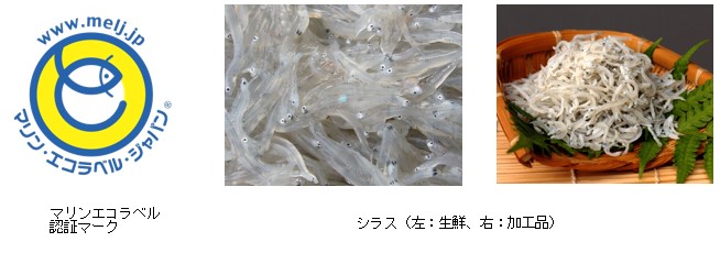 「マリンエコラベル認証マークとシラス」