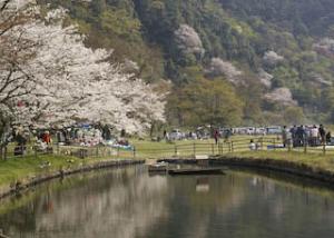 春の栗栖園地