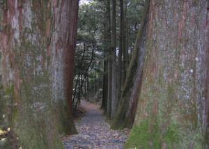 甘泉寺参道