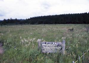 長ノ山湿原