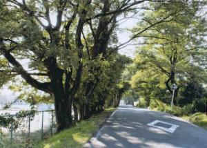 県立津島高校（旧三中）への通学路