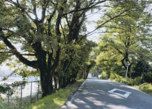 県立津島高校(旧三中)への通学路