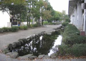 緑陰歩道(西町、若宮町)