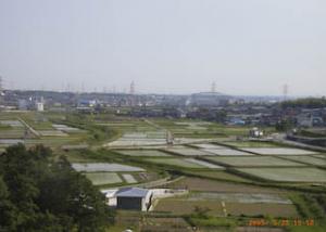 愛知池から見た田園風景