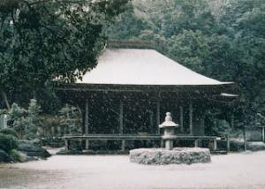 国宝「金蓮寺弥陀堂」の雪化粧