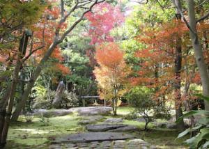 糟谷邸の紅葉