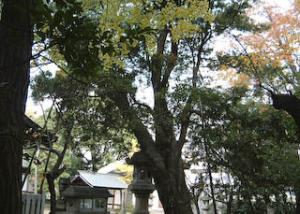 八幡神社