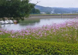 都市緑化植物園の秋