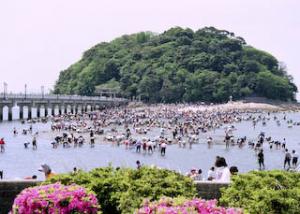 竹島と潮干狩り