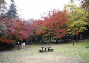 不老滝公園と紅葉